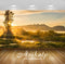 Avikalp Exclusive Awi6437 Sunlight Through The Tree Nature Full HD Wallpapers for Living room, Hall,