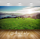 Avikalp Exclusive Awi6453 Sunny Day Over A Rural Field By The Lake Nature Full HD Wallpapers for Liv