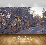 Avikalp Exclusive Awi6496 Sunset Light Barely Reaching Through The Thick Snow Nature Full HD Wallpap