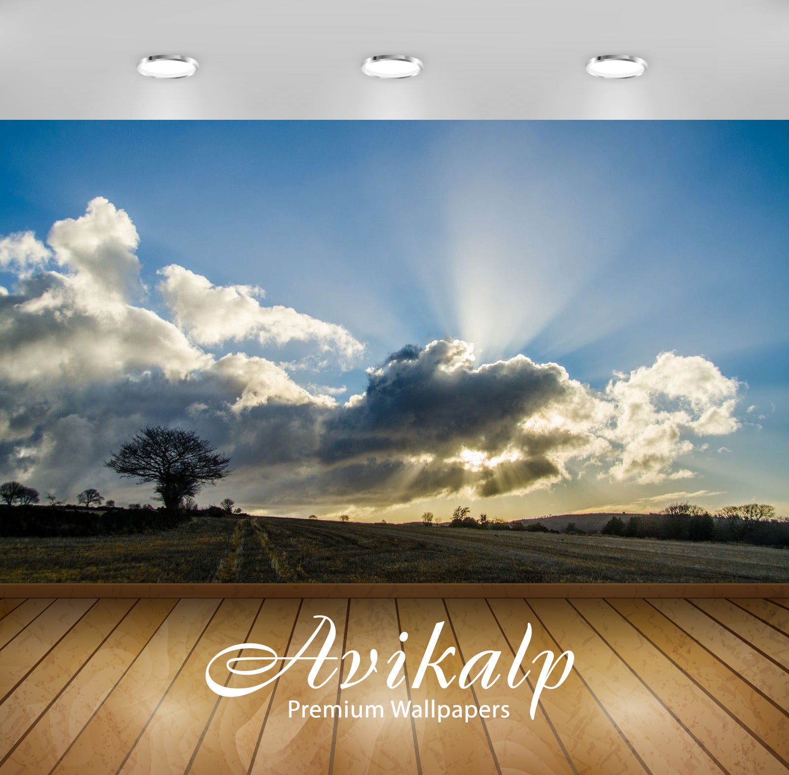 Avikalp Exclusive Awi6526 Sunset Piercing Through The Clouds Nature Full HD Wallpapers for Living ro