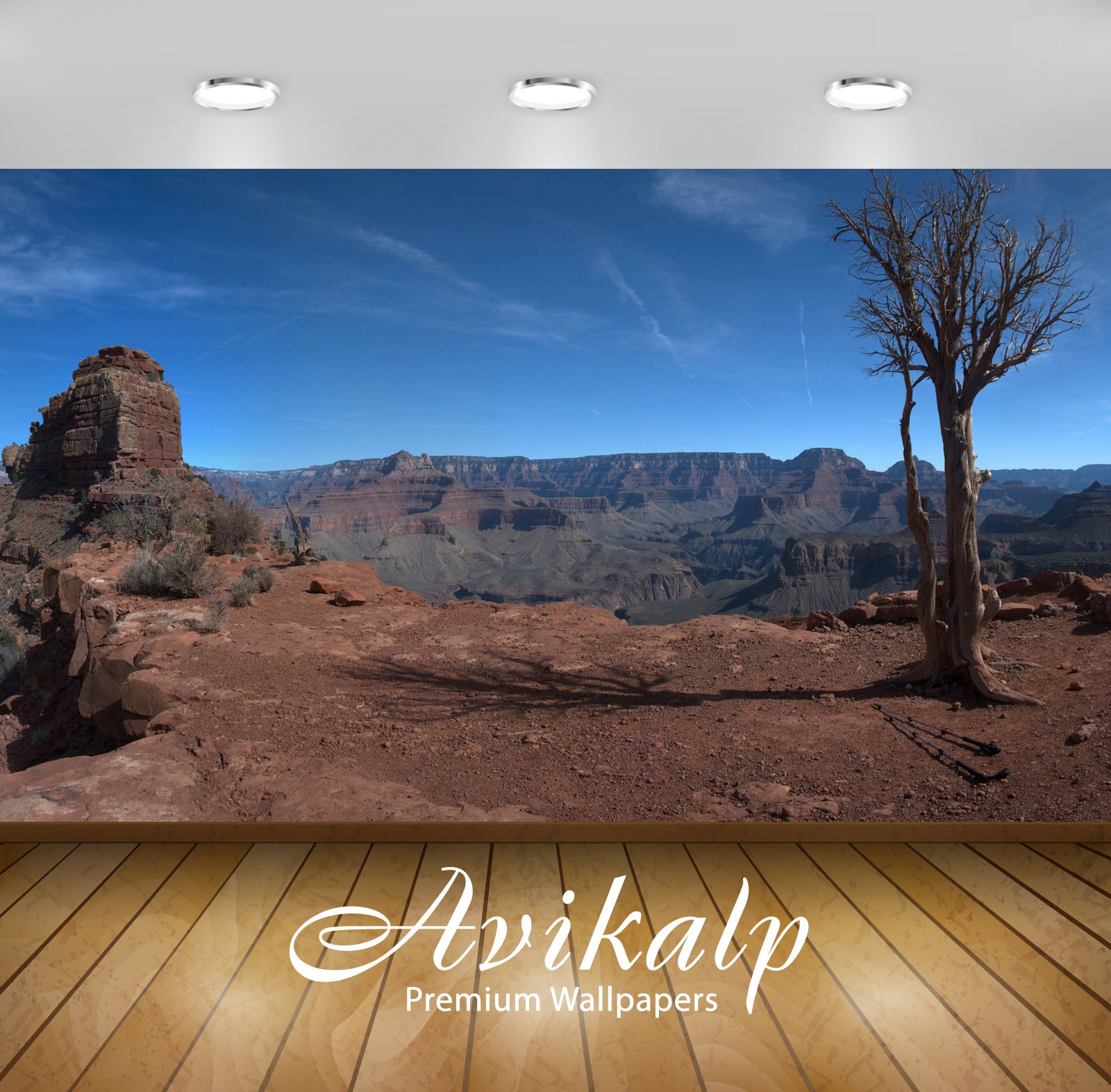 Avikalp Exclusive Awi6555 The Grand Canyon Nature Full HD Wallpapers for Living room, Hall, Kids Roo