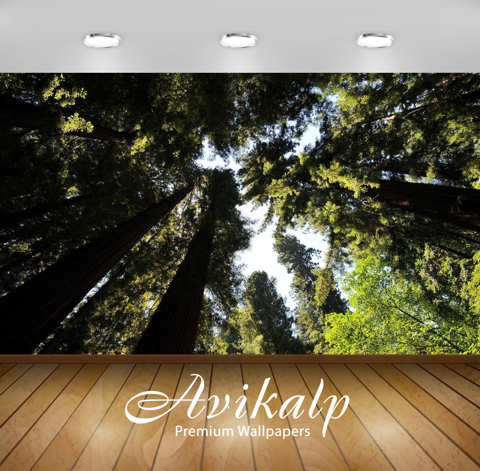 Avikalp Exclusive Awi6606 Trees From Below Nature Full HD Wallpapers for Living room, Hall, Kids Roo