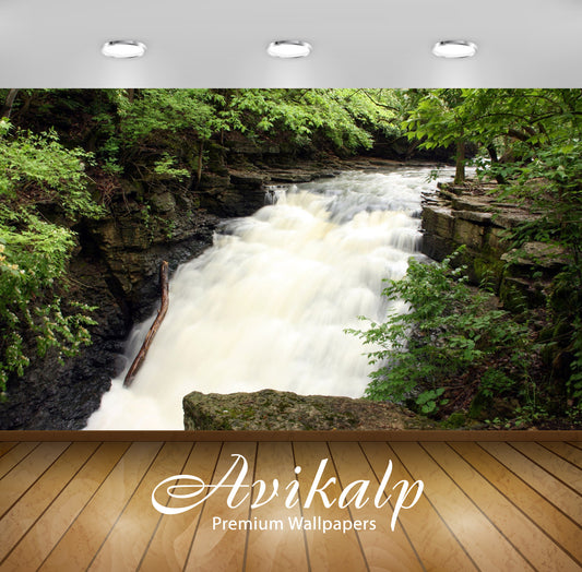 Avikalp Exclusive Awi6607 Trees Growing On Rocky Ground On The Side Of A Waterfall Nature Full HD Wa