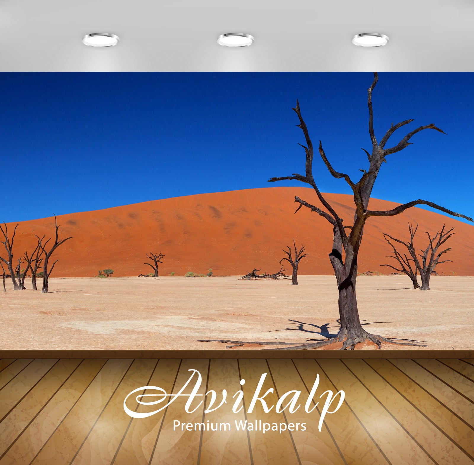 Avikalp Exclusive Awi6611 Trees In The Desert Nature Full HD Wallpapers for Living room, Hall, Kids