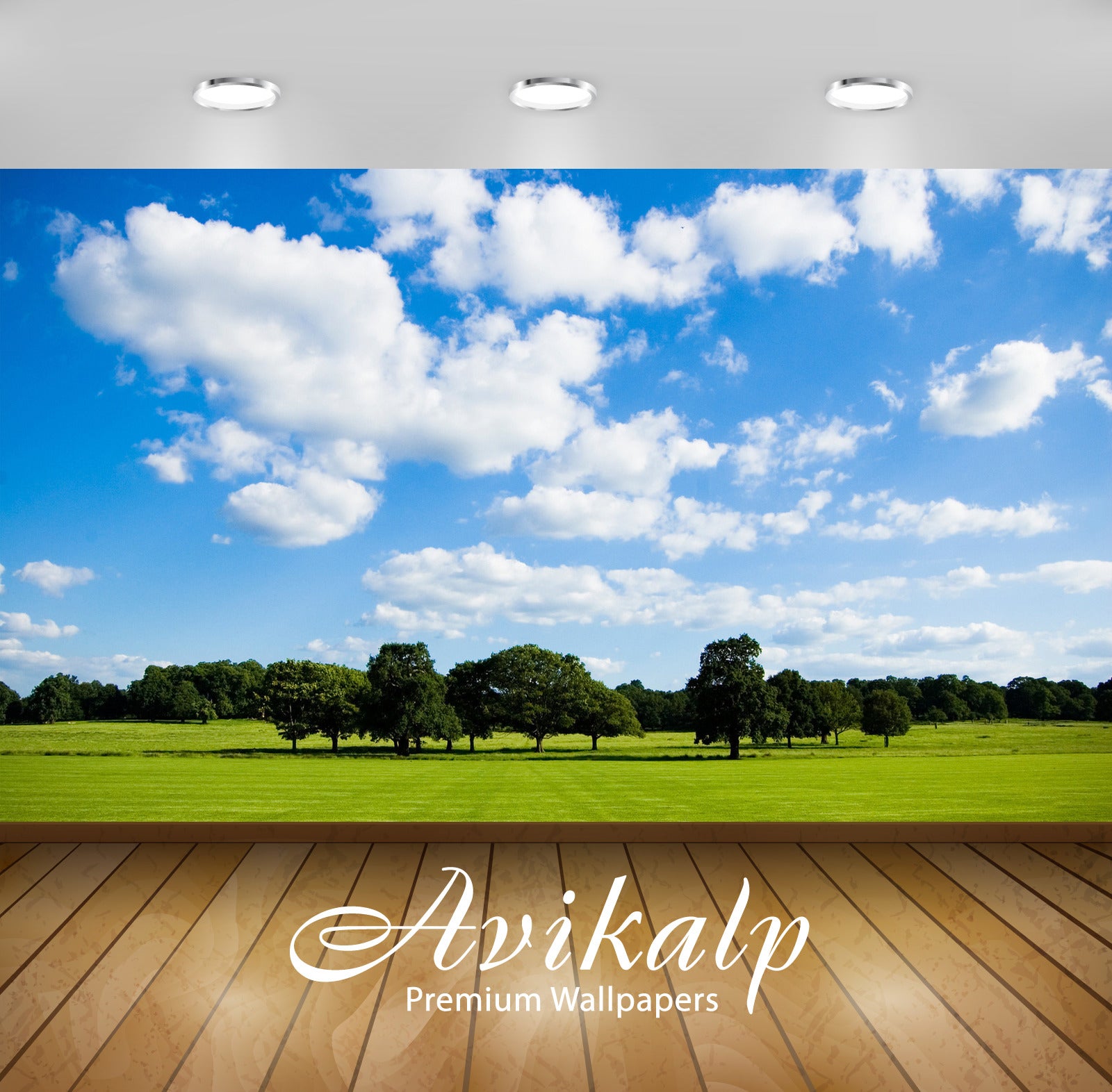 Avikalp Exclusive Awi6616 Trees On The Green Field Nature Full HD Wallpapers for Living room, Hall,