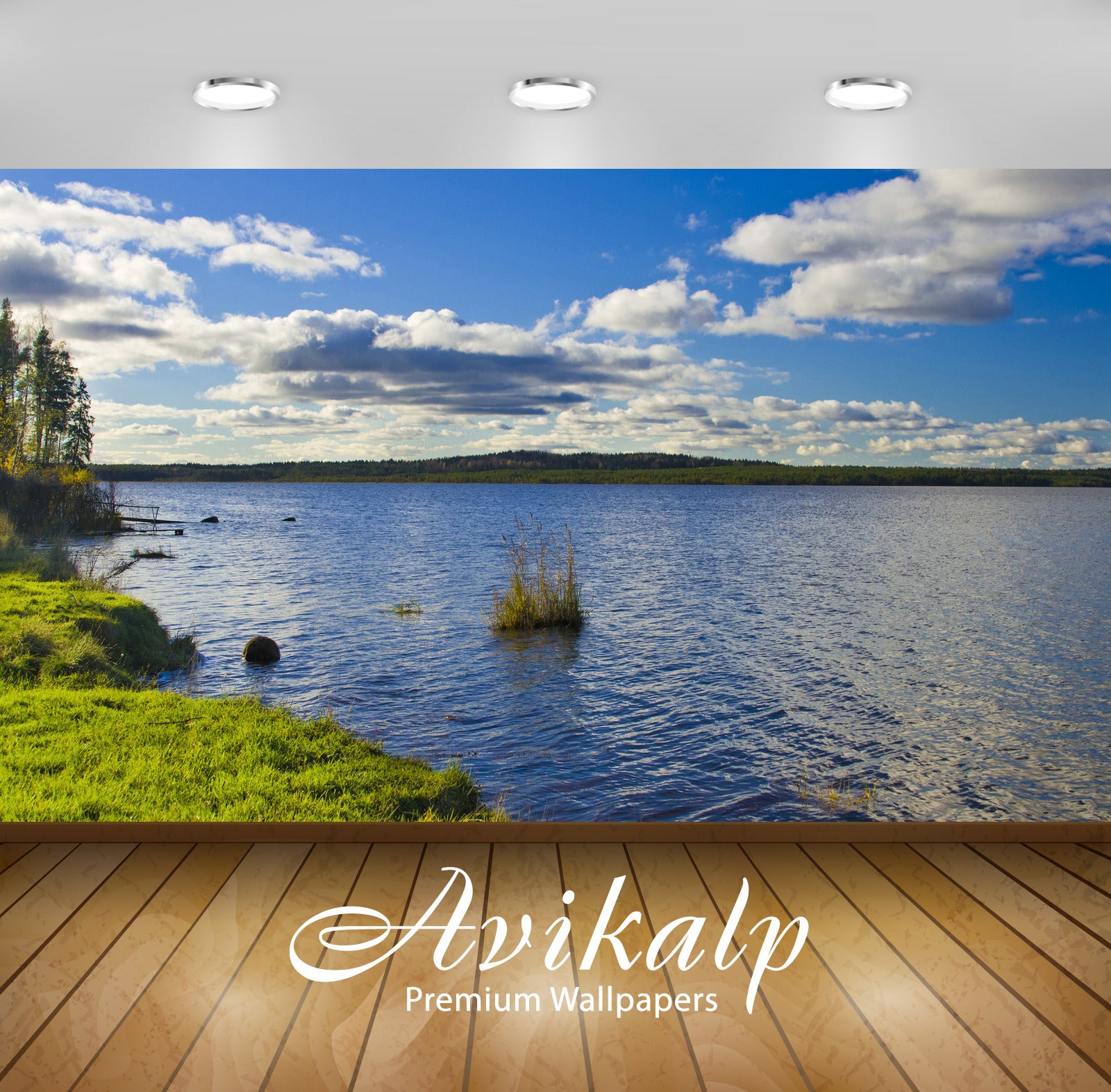 Avikalp Exclusive Awi6622 Turf Of Grass Rising From The Lake Nature Full HD Wallpapers for Living ro