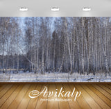 Avikalp Exclusive Awi6708 Winter Birch Forest Nature Full HD Wallpapers for Living room, Hall, Kids