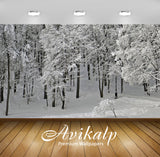 Avikalp Exclusive Awi6718 Winter Park Nature Full HD Wallpapers for Living room, Hall, Kids Room, Ki