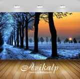 Avikalp Exclusive Awi6722 Winter Sunset Nature Full HD Wallpapers for Living room, Hall, Kids Room,