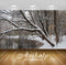 Avikalp Exclusive Awi6725 Winter Trees Leaning To The Water Nature Full HD Wallpapers for Living roo