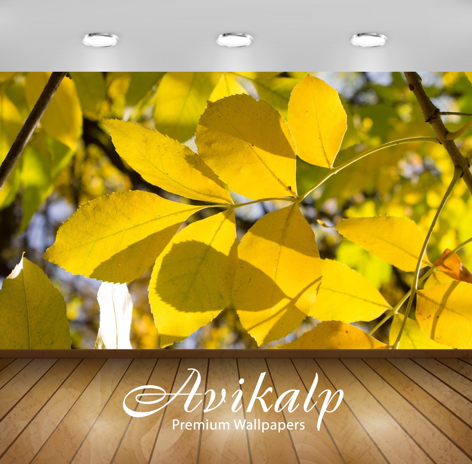 Avikalp Exclusive Awi6742 Yellow Branch In The Sunlight Nature Full HD Wallpapers for Living room, H