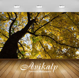 Avikalp Exclusive Awi6754 Yellow Maple Branches Nature Full HD Wallpapers for Living room, Hall, Kid