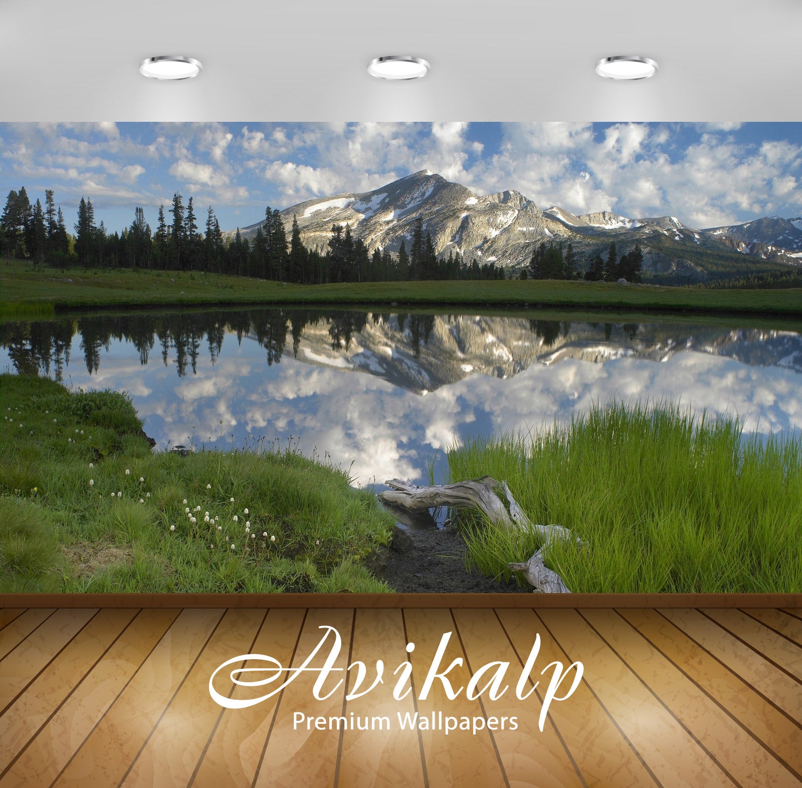 Avikalp Exclusive Awi6766 Yosemite National Park Nature Full HD Wallpapers for Living room, Hall, Ki