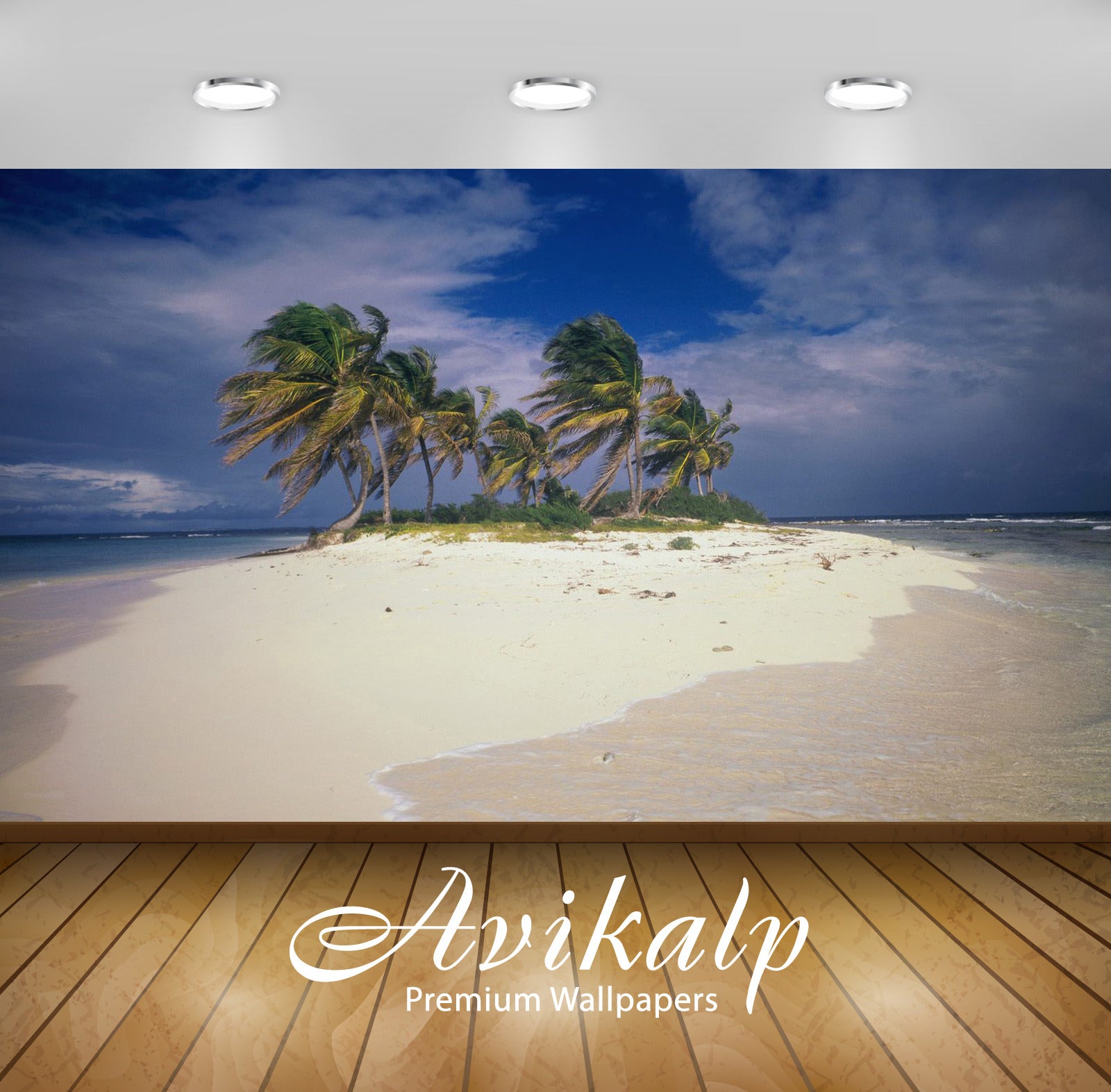 Avikalp Exclusive Awi6805 Anguilla Nature HD Wallpaper