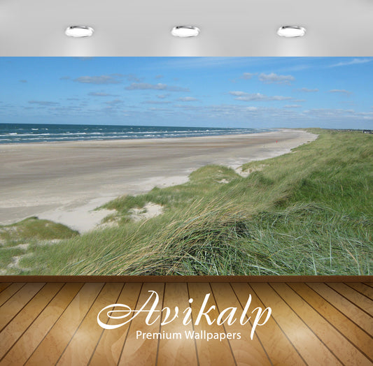 Avikalp Exclusive Awi7405 Windy Summer Beach Nature HD Wallpaper