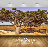 Avikalp Exclusive Premium cyprus HD Wallpapers for Living room, Hall, Kids Room, Kitchen, TV Backgro