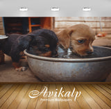 Avikalp Exclusive Premium dog HD Wallpapers for Living room, Hall, Kids Room, Kitchen, TV Background