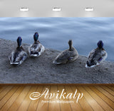 Avikalp Exclusive Premium ducks HD Wallpapers for Living room, Hall, Kids Room, Kitchen, TV Backgrou