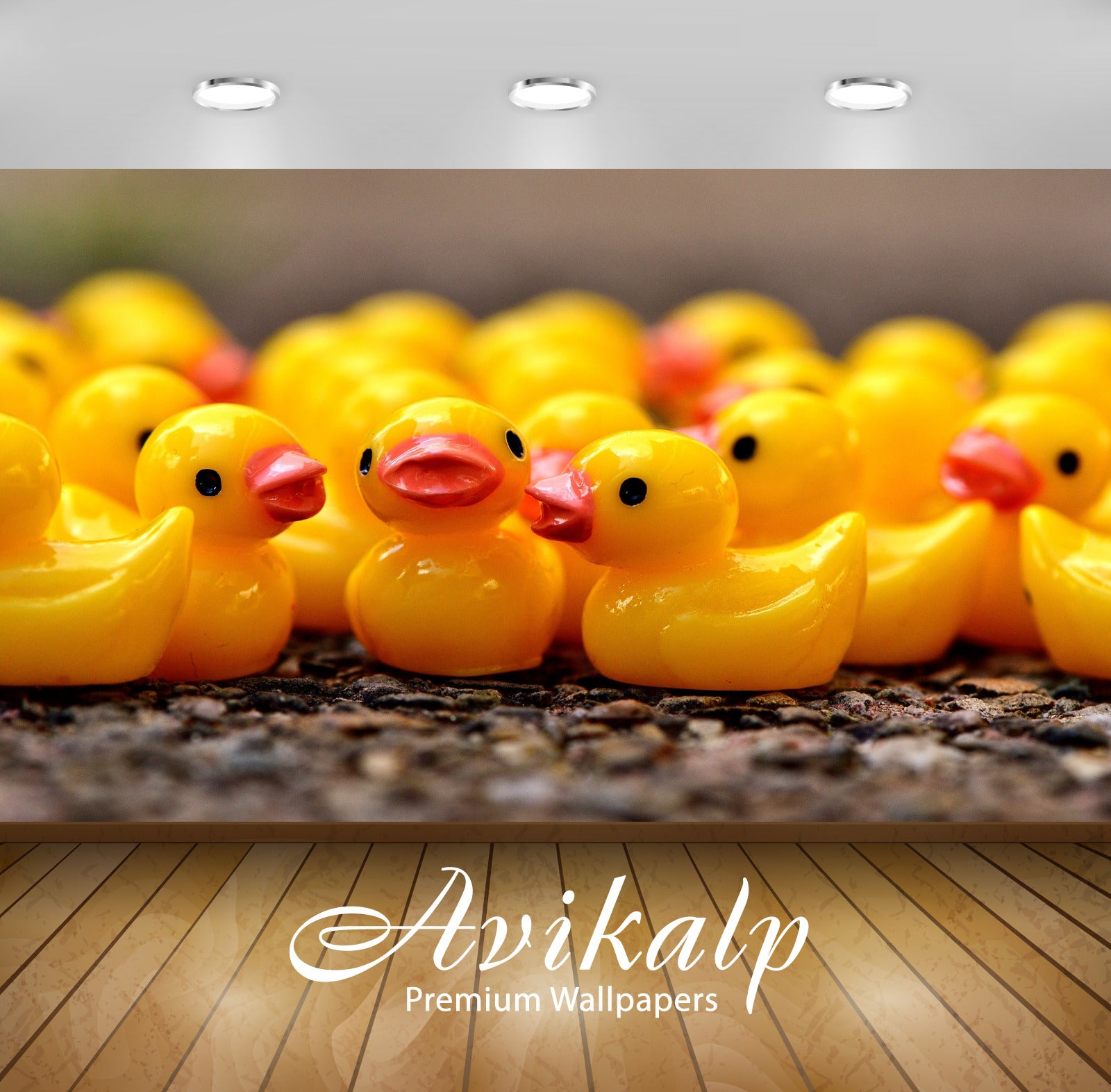 Avikalp Exclusive Premium ducky HD Wallpapers for Living room, Hall, Kids Room, Kitchen, TV Backgrou