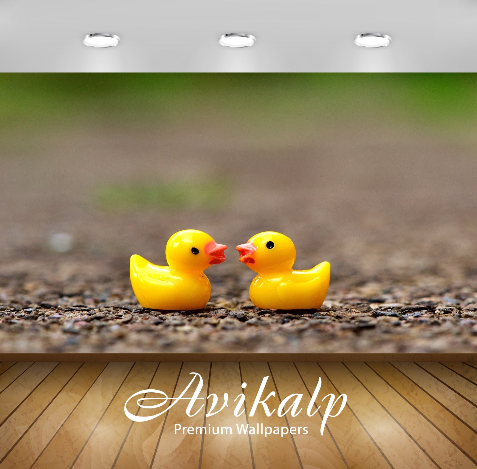 Avikalp Exclusive Premium ducky HD Wallpapers for Living room, Hall, Kids Room, Kitchen, TV Backgrou