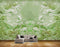 Avikalp MWZ0016 White Green Fishes Flowers HD Wallpaper
