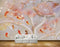 Avikalp MWZ0017 White Pink Flowers Fishes HD Wallpaper