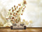 Avikalp MWZ0061 White Brown Flowers HD Wallpaper