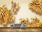 Avikalp MWZ0114 Yellow Flowers HD Wallpaper
