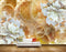 Avikalp MWZ0187 White Flowers Leaves HD Wallpaper