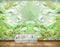 Avikalp MWZ0288 White Green Lotus Flowers Plants Fishes HD Wallpaper