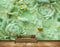 Avikalp MWZ0289 Green White FLowers Birds HD Wallpaper