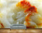 Avikalp MWZ0317 Orange White Flowers House HD Wallpaper