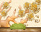 Avikalp MWZ0338 Yellow White FLowers Fishes HD Wallpaper