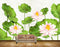 Avikalp MWZ0409 White Pink Flowers Leaves HD Wallpaper