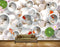 Avikalp MWZ0436 Orange Fishes Pink White Flowers Frog Stones HD Wallpaper