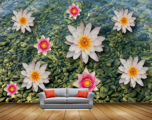 Avikalp MWZ0540 White Pink Flowers Stones HD Wallpaper