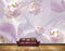 Avikalp MWZ0861 Pink White Flowers HD Wallpaper