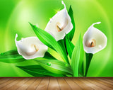 Avikalp MWZ1161 White Tulip Flower Plants 3D HD Wallpaper