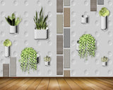 Avikalp MWZ1421 Pots Snakeplants Creepers 3D HD Wallpaper