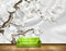 Avikalp MWZ1732 White Flowers Branches HD Wallpaper