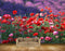 Avikalp MWZ1990 Red Pink Flowers HD Wallpaper