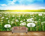 Avikalp MWZ2013 White Flowers Plants Sun 3D HD Wallpaper