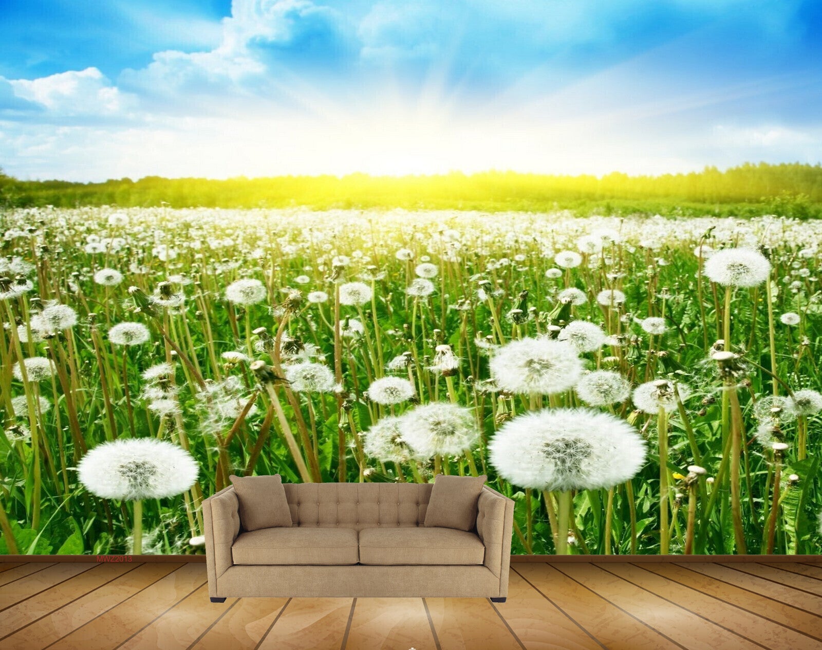 Avikalp MWZ2013 White Flowers Plants Sun 3D HD Wallpaper