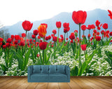 Avikalp MWZ2024 Red Tulip Flowers Plants 3D HD Wallpaper