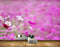 Avikalp MWZ2026 Pink White Red Flowers HD Wallpaper