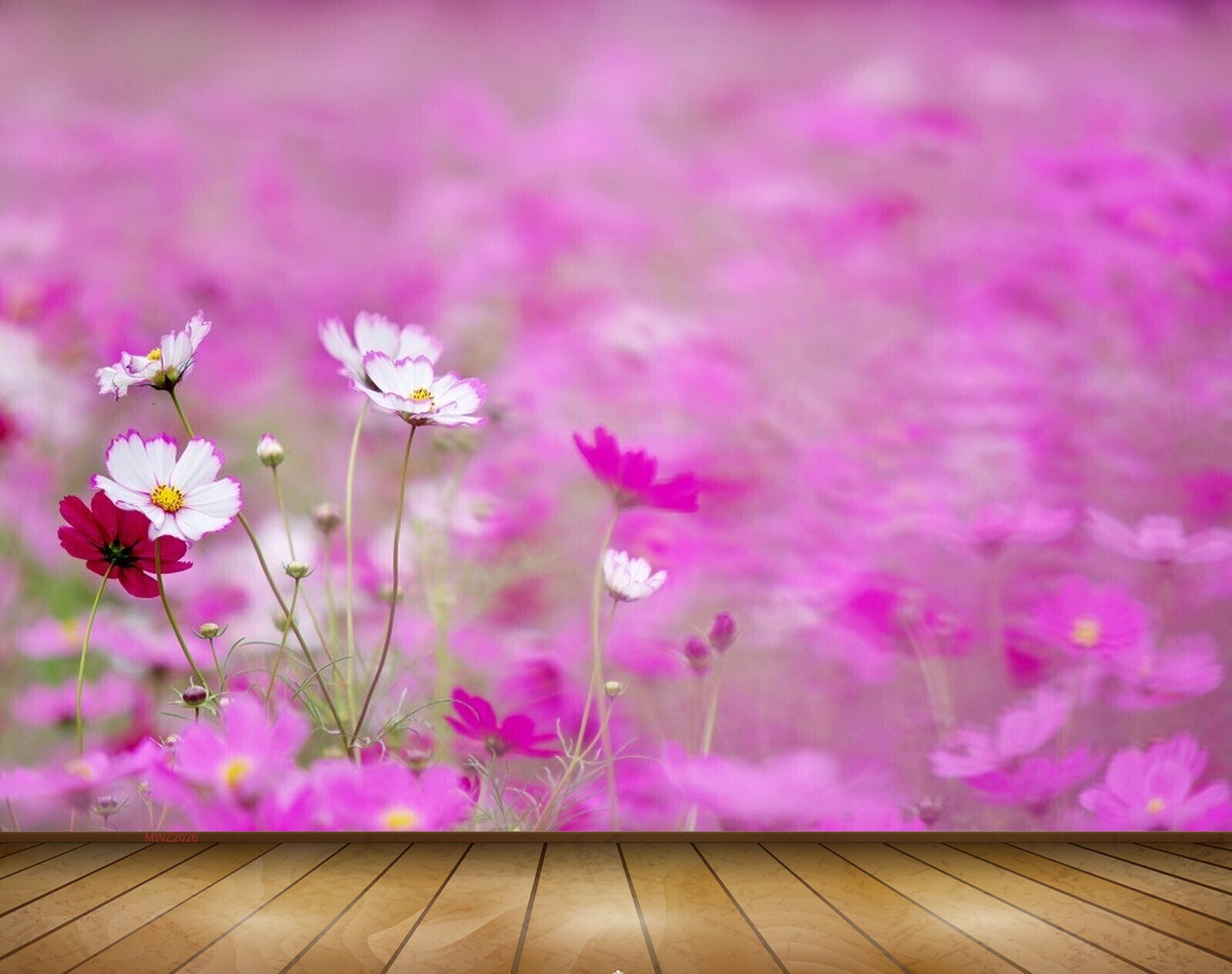 Avikalp MWZ2026 Pink White Red Flowers 3D HD Wallpaper