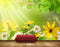 Avikalp MWZ2028 Yellow White Flowers HD Wallpaper