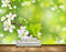 Avikalp MWZ2030 White Flowers Branches HD Wallpaper