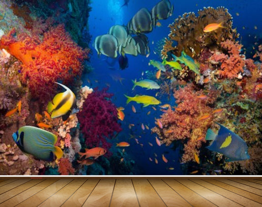 Avikalp MWZ2096 Sea Fishes Anemone Underwater Ocean HD Wallpaper