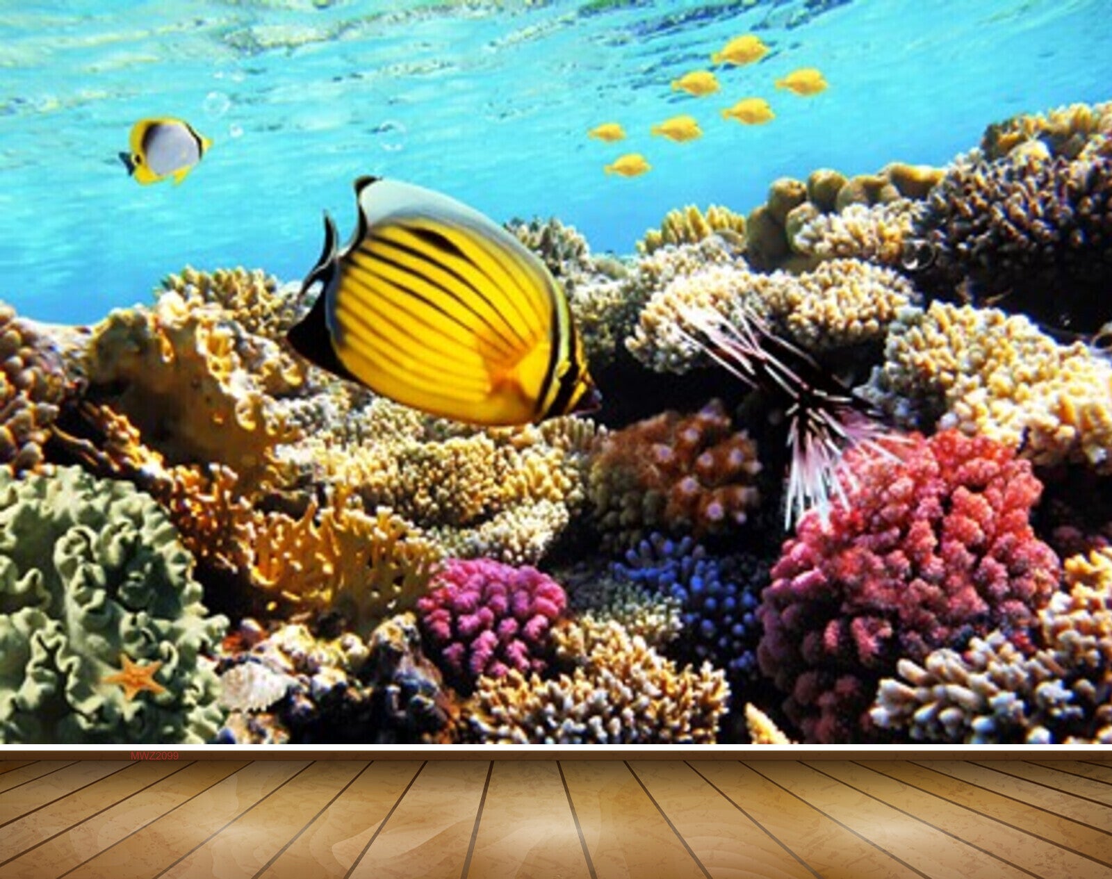 Avikalp MWZ2099 Sea Anemones Fishes Underwater HD Wallpaper